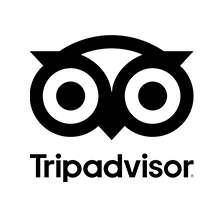TripAdvisor Logo
